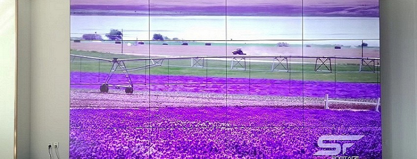 大屏入驻新疆某政府单位